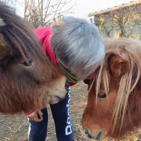 Au Pied De La Colline 3* Alembon