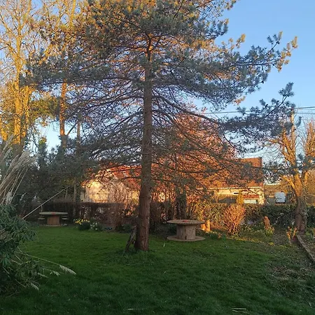 Au Pied De La Colline Bed & Breakfast Alembon