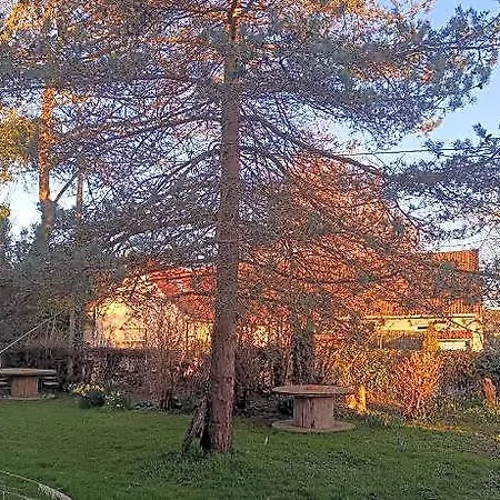 Au Pied De La Colline B&B Alembon
